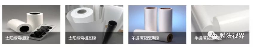 WFS2021薄膜展
